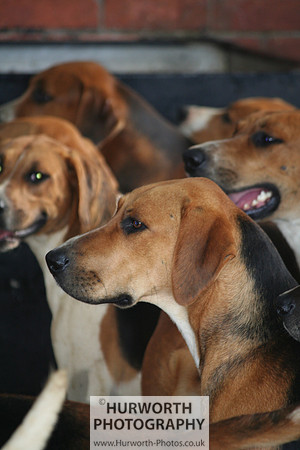 Hurworth Hound Exercise 005