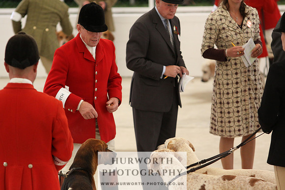 Harrogate Hound Show 011