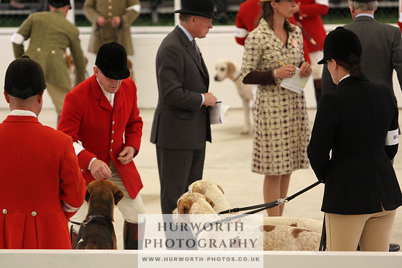 Harrogate Hound Show 013