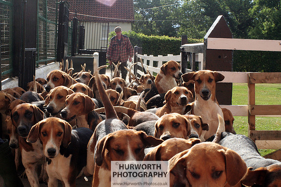 Hurworth Hound Exercise 012