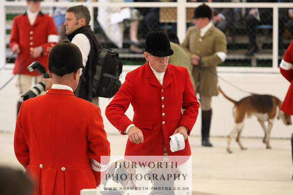 Harrogate Hound Show 015