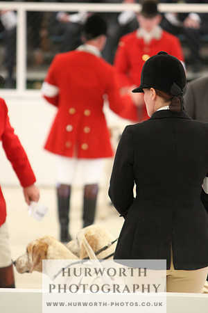 Harrogate Hound Show 016