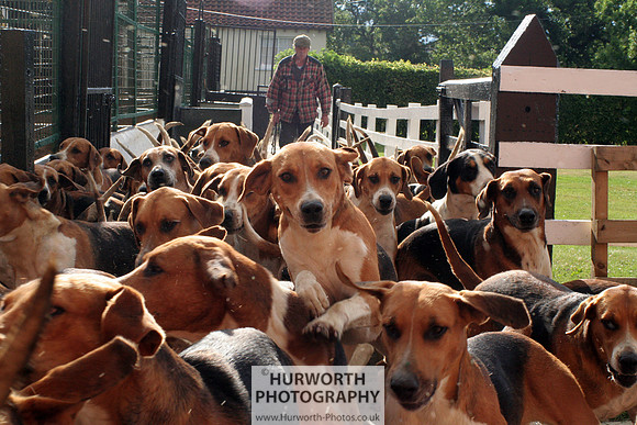 Hurworth Hound Exercise 013