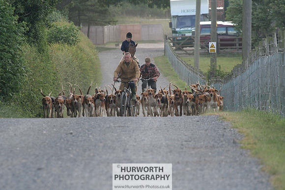 Hurworth Hound Exercise 014