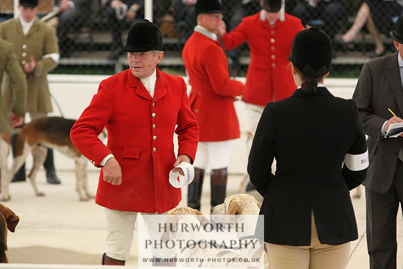 Harrogate Hound Show 017