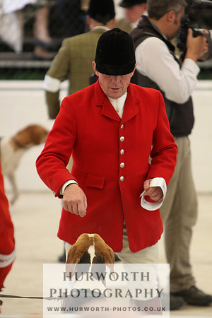 Harrogate Hound Show 018
