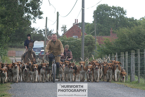 Hurworth Hound Exercise 015