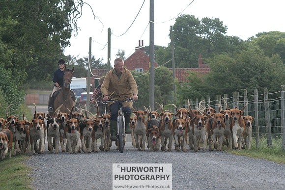 Hurworth Hound Exercise 016