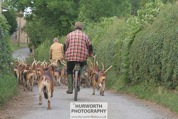 Hurworth Hound Exercise 019