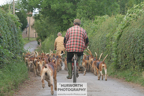 Hurworth Hound Exercise 020
