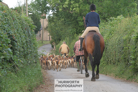 Hurworth Hound Exercise 021