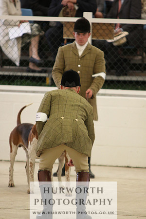 Harrogate Hound Show 023