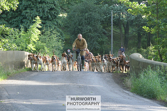 Hurworth Hound Exercise 022