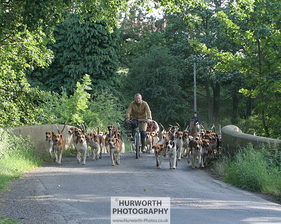 Hurworth Hound Exercise 023