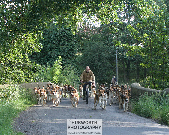 Hurworth Hound Exercise 024