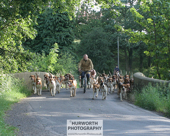 Hurworth Hound Exercise 025