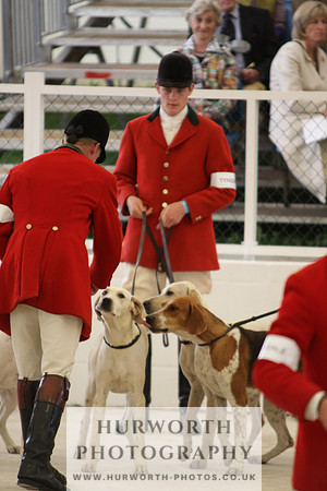 Harrogate Hound Show 026