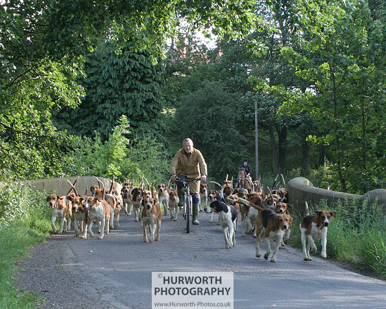 Hurworth Hound Exercise 026