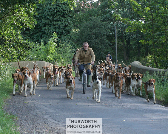 Hurworth Hound Exercise 028