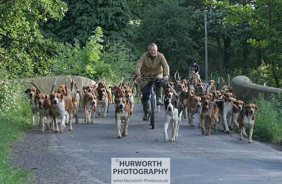 Hurworth Hound Exercise 029