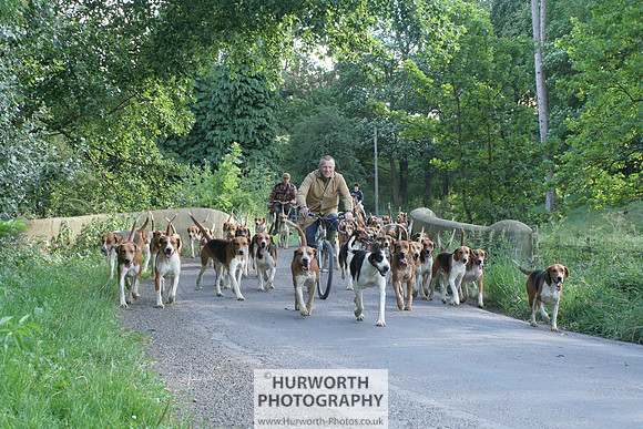 Hurworth Hound Exercise 030