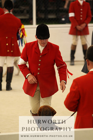 Harrogate Hound Show 090