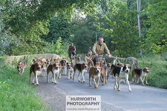 Hurworth Hound Exercise 031