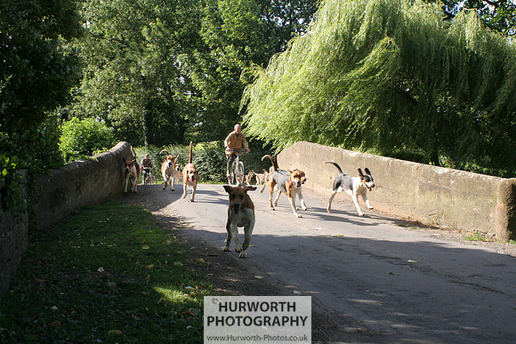 Hurworth Hound Exercise 032