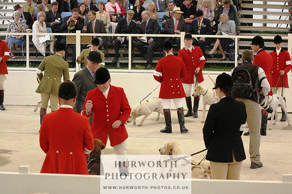 Harrogate Hound Show 001