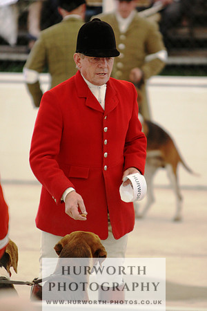 Harrogate Hound Show 002