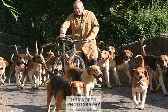 Hurworth Hound Exercise 036