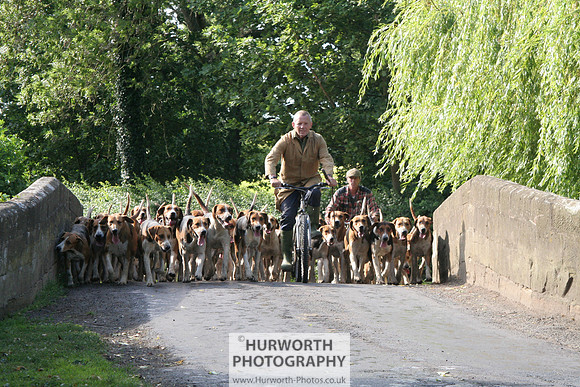 Hurworth Hound Exercise 040