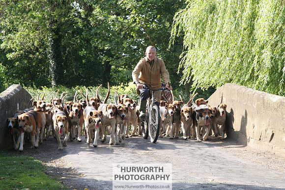 Hurworth Hound Exercise 041