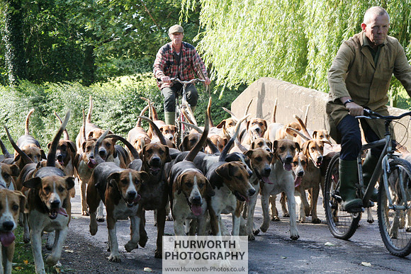 Hurworth Hound Exercise 042