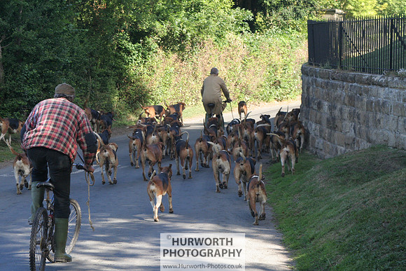 Hurworth Hound Exercise 043