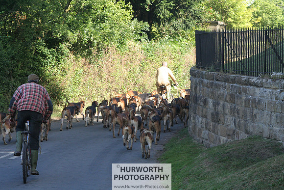 Hurworth Hound Exercise 044