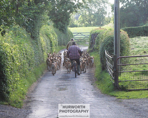 Hurworth Hound Exercise 045