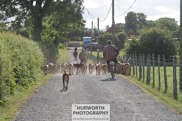 Hurworth Hound Exercise 047