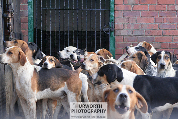 Hurworth Hound Exercise 053