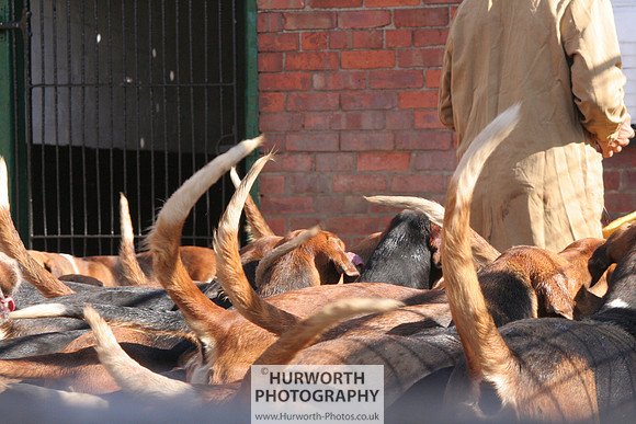 Hurworth Hound Exercise 054