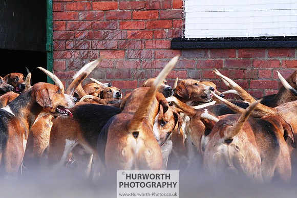Hurworth Hound Exercise 056