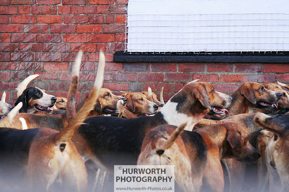 Hurworth Hound Exercise 057