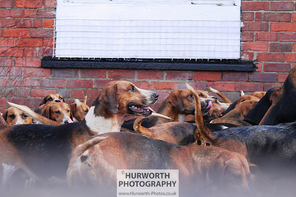 Hurworth Hound Exercise 058