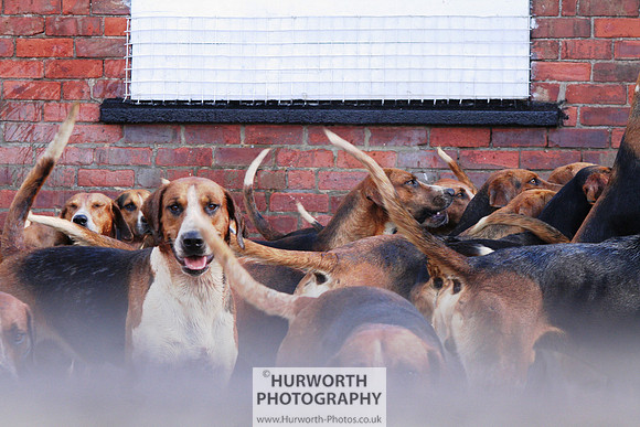 Hurworth Hound Exercise 059
