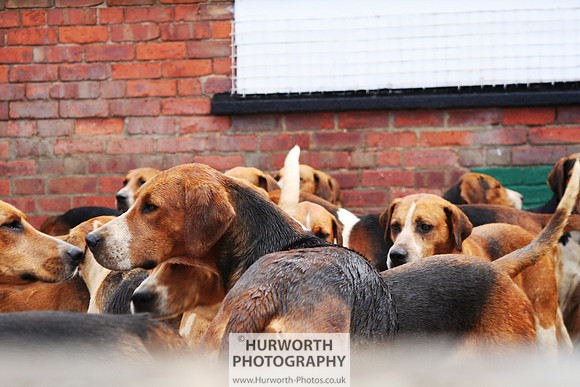 Hurworth Hound Exercise 065