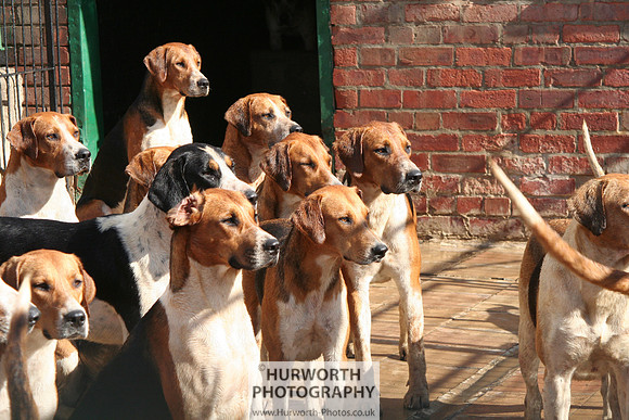Hurworth Hound Exercise 076