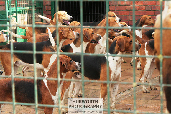 Hurworth Hound Exercise 001