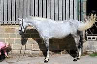 SP 67
