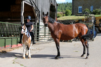 SP 124
