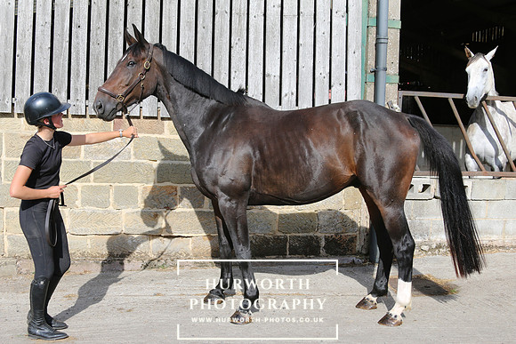 SP 207